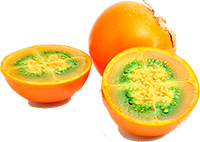 Naranjillo