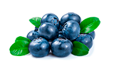 Arandanos