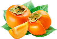Caqui
