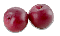 Ciruela