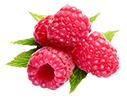 Frambuesas