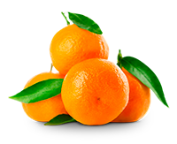 Mandarina