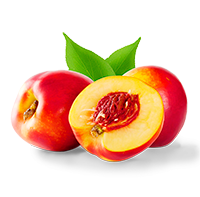 Nectarina