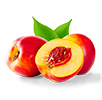 Nectarina