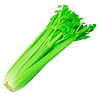 Apio