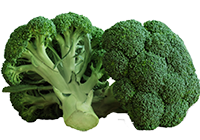 Brócoli