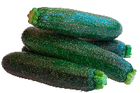 Calabacín