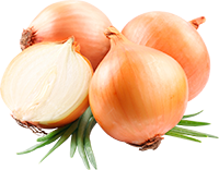 Cebolla