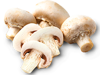 Alcachofa