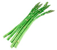 Espárrago