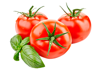 Tomate